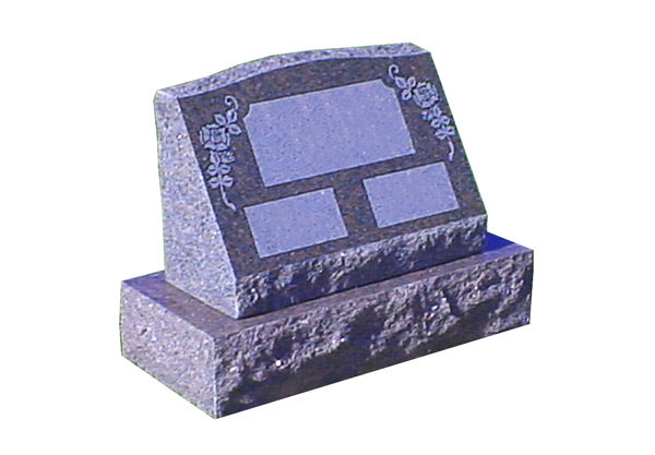 HG 315