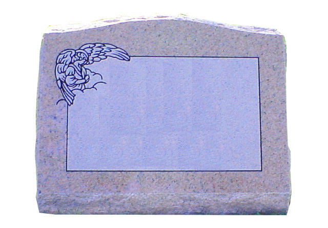 HG 365